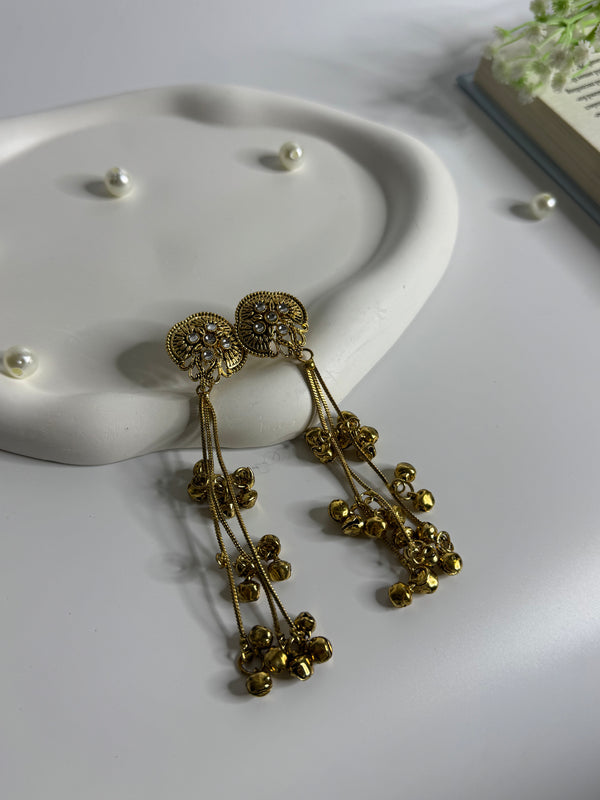 Kashmiri Long Jhumki Earrings